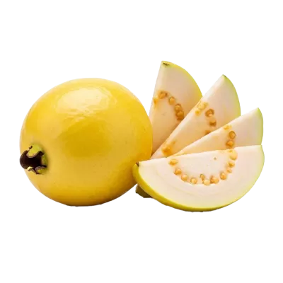 Imagen PNG para descargar